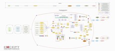 Beef and Dairy Production System Map Life Cycle